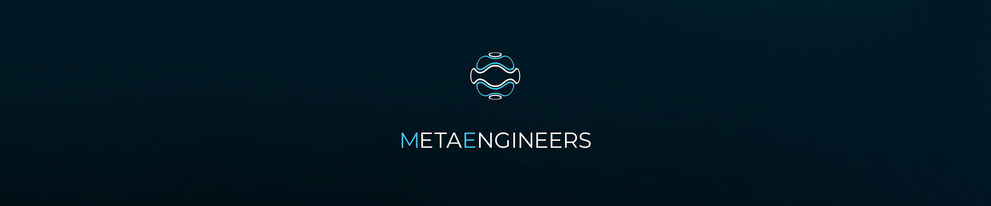 Web3 DAO | MetaEngineers logo